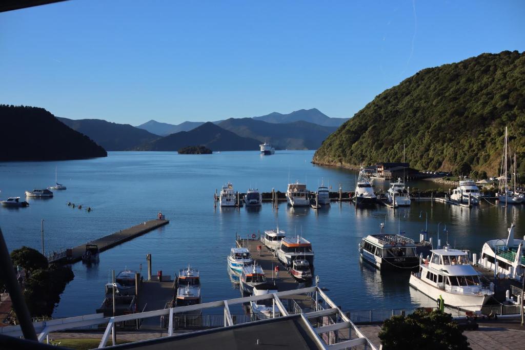 a bunch of boats are docked in a harbor at Waterfront Retreat on the foreshore of Queen Charlotte Sound in Picton