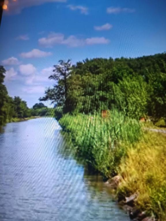a view of a river with grass and trees at Baťův kanál Babice1 glamping in Babice