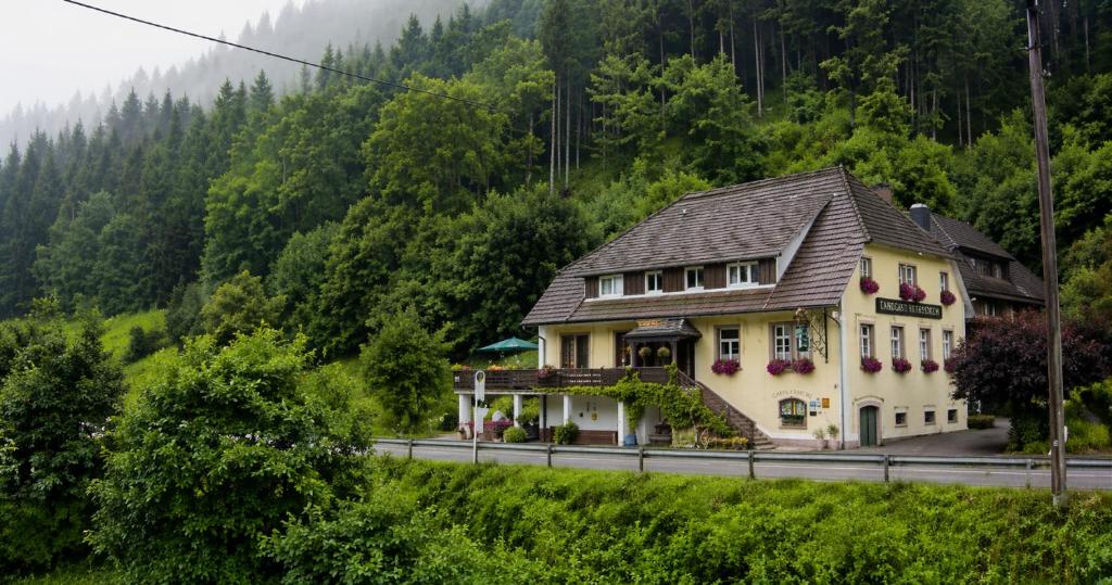a house on the side of a road at BaB Hotels and Apartments-Zum Letzten G'Stehr in Bad Rippoldsau