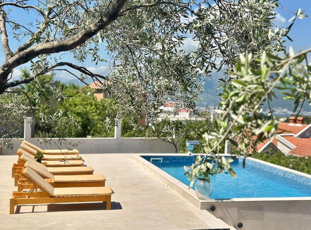 a swimming pool with lounge chairs next to a swimming pool at Villa Paula in Radovici
