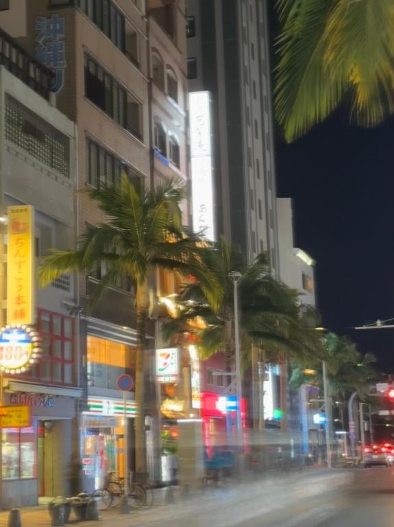 301那霸市白銀公寓國際通大街雙人床有電梯免費Wi-Fi