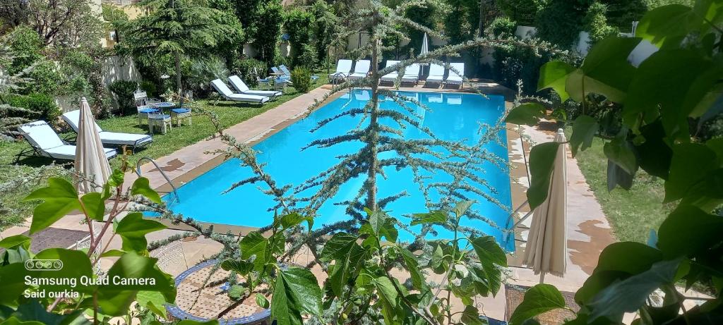 a large swimming pool in a yard with lounge chairs at Villa Pomme d'Or in Midelt