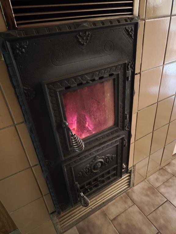 a fireplace with a red screen in a room at Ferienhaus König in Kurort Steinbach-Hallenberg