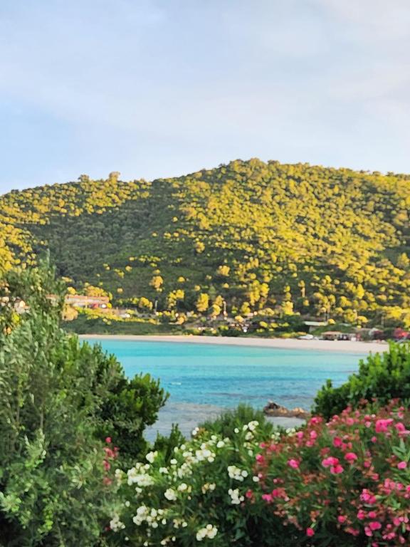 a view of a body of water with flowers at villa des calanques in Conca