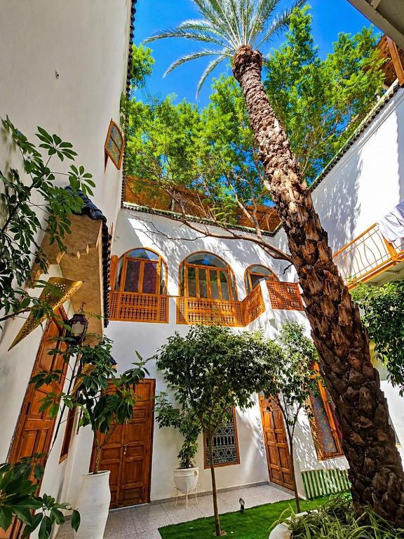 a palm tree in the courtyard of a house at Riad O LY in Marrakesh