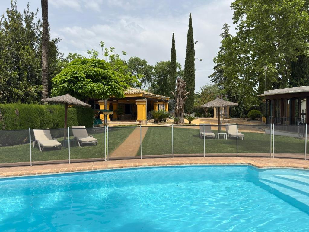 a pool with chairs and umbrellas in a yard at La Casa de los Limones in Montilla