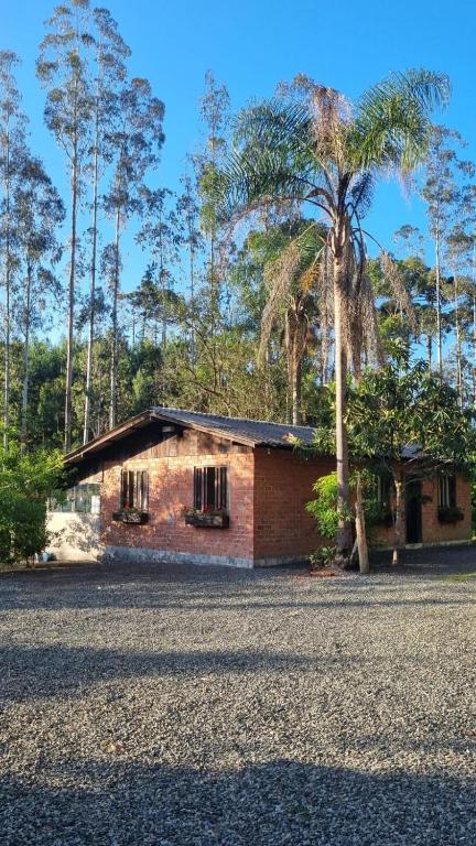 a small brick house with a palm tree in front at Sítio Rio Lima in Rio Forcação