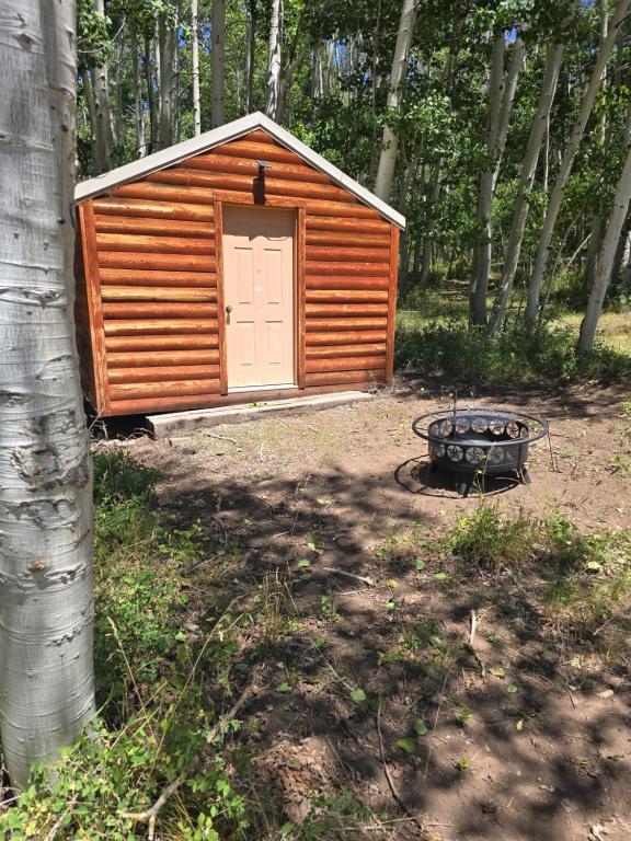 a small cabin with a door and a fire pit at Camp Jackson Sleeping Cabin West in Monticello