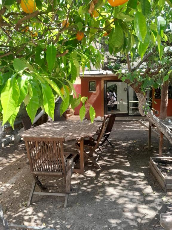 Joli studio avec jardin proche de la gare