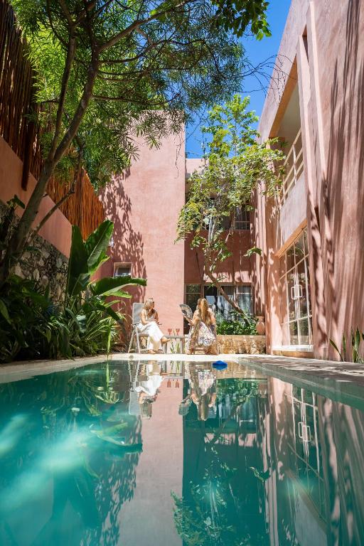 two dogs sitting in chairs next to a swimming pool at Casa Sofía Centro in Mérida