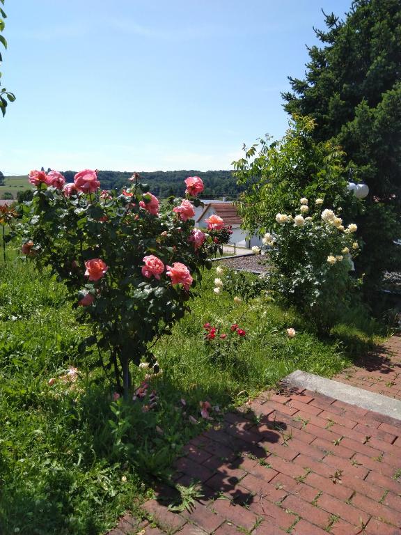 a garden with roses on a brick path at Haus Orleander in Rehgraben