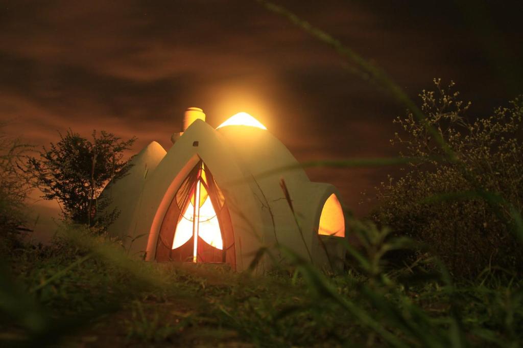 a lit up iguana tent in the grass at night at Cabañas Las Luciérnagas in San Javier