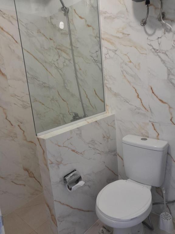 a bathroom with a toilet and a shower and a mirror at Déjalo ser in Nueva Helvecia
