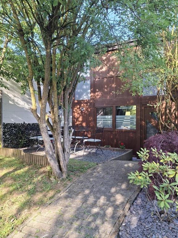 a house with a tree and a bench in front of it at Chalet tout confort in Virton