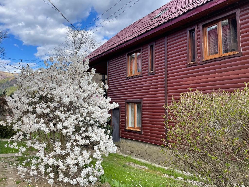 a house with a flowering tree in front of it at Guest house Nad Tisou in Kvasy