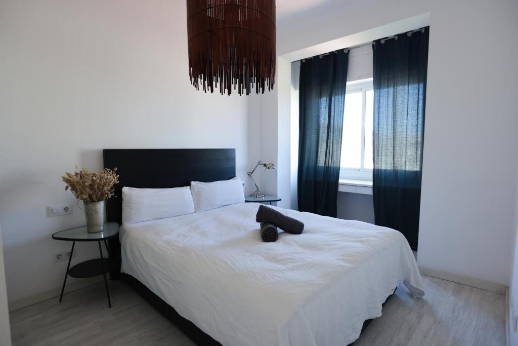 Spacious Modern Apartment in a Beautiful Area