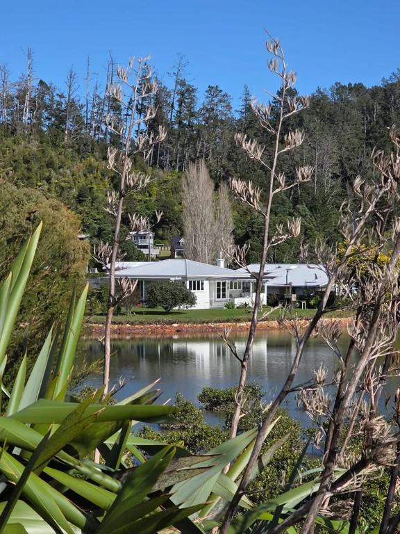 a white building with a pond in front of it at Kingfisher Lodge Waterfront Retreat in Tairua