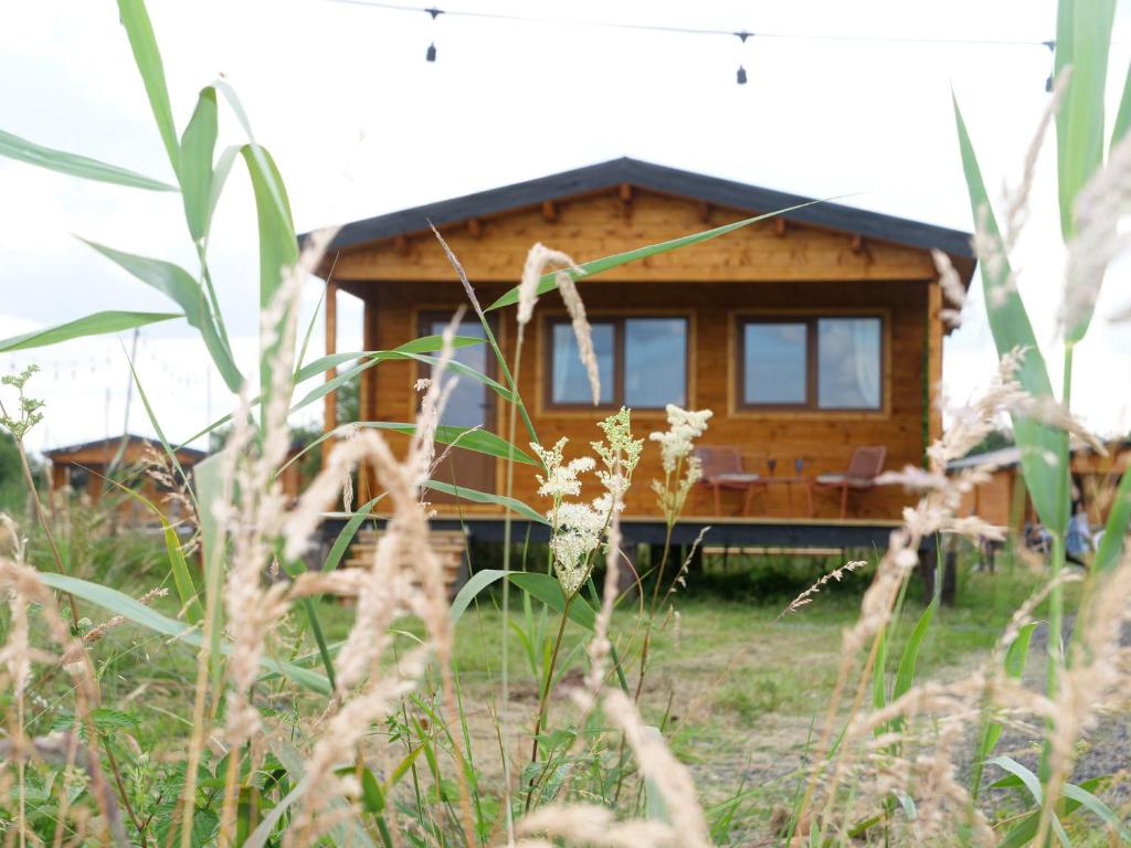 a small wooden house in a field with tall grass at Alpaca My Bags! at Andean Alpacas in Mullingar