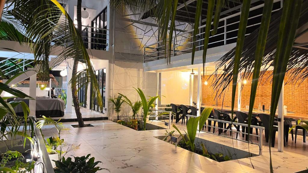 Oceana Surf Maldives - Kudahuvadhoo Island Surf Retreat - View 11