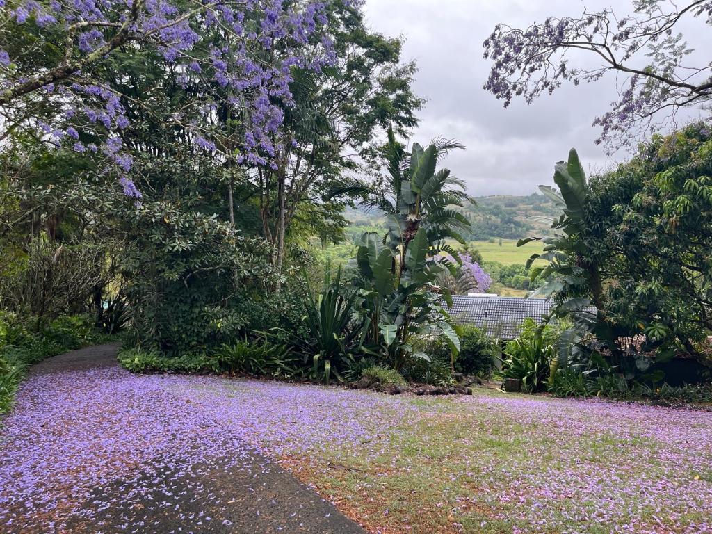a garden with purple flowers on the ground at Bexhill Grace in Lismore