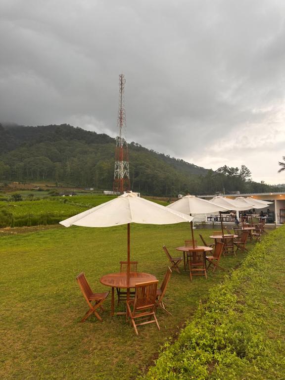 a row of tables with umbrellas in a field at Arjuna Hill in Sumberbrantas