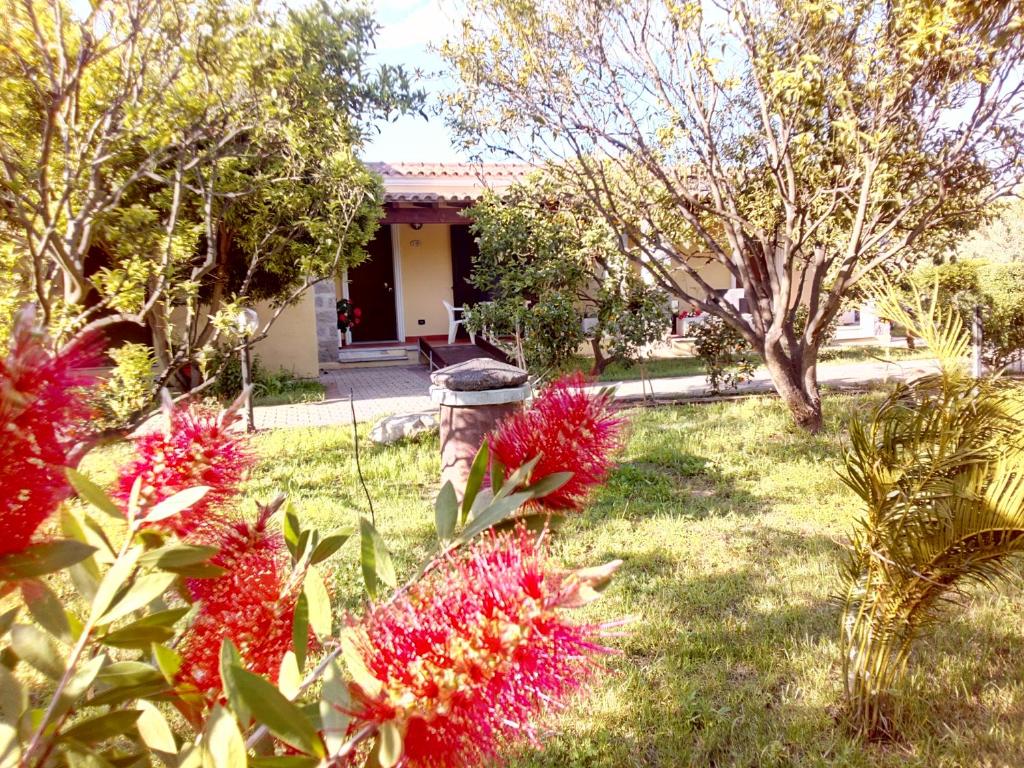 a garden with red flowers in front of a house at Su Pasu in Tortolì