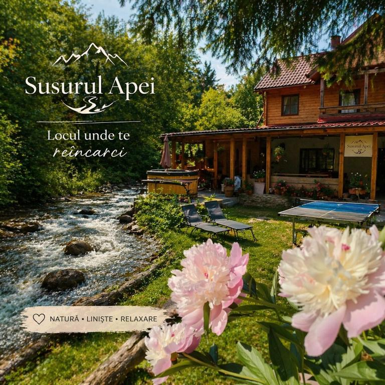 a house next to a river with pink flowers at Susurul Apei Chalet in Porumbacu de Sus