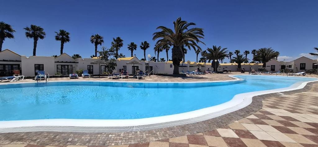 a large swimming pool in a resort with palm trees at Alby House 2 Montecastillo in Caleta De Fuste