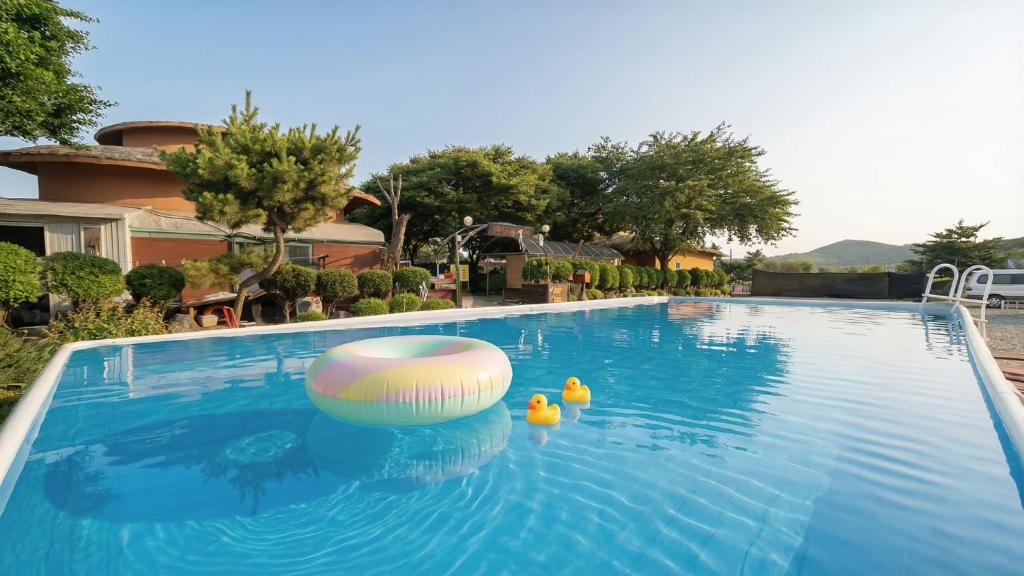 a swimming pool with a ball and two rubber ducks in it at Daebudo Banditbul Pension in Ansan