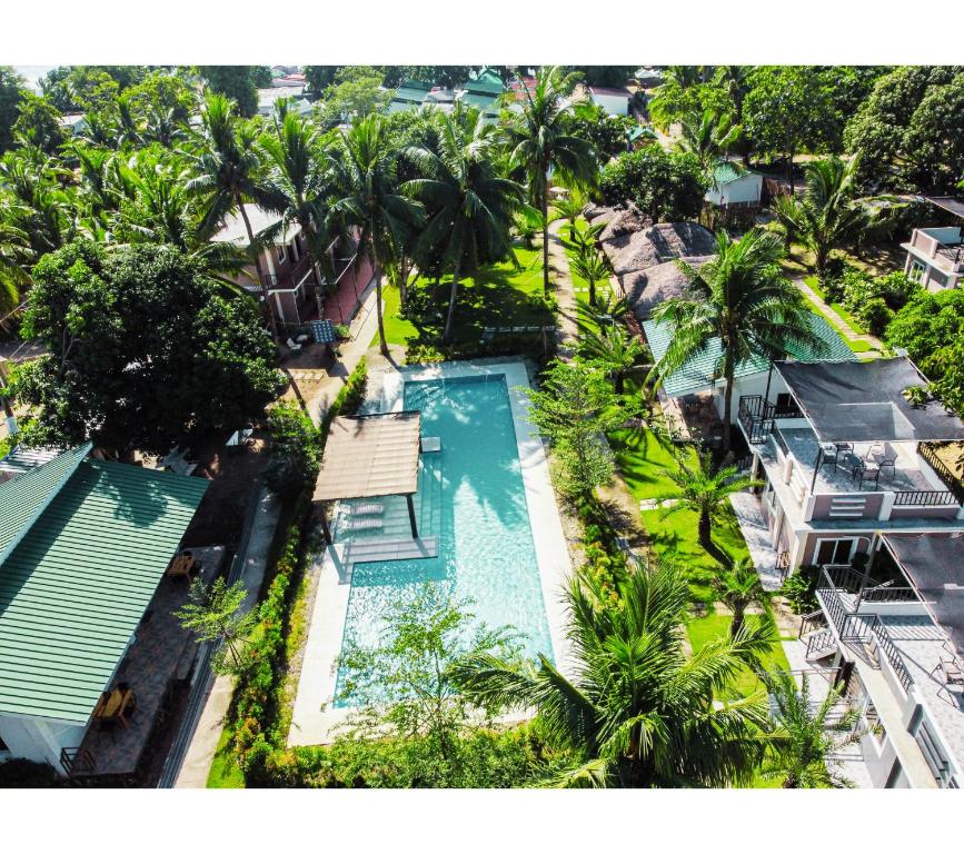 an overhead view of a swimming pool with palm trees at Severina Lodge in San Juan