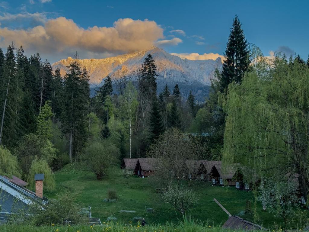 a house in a field with a mountain in the background at Camping Ursulet Durau in Ceahlău