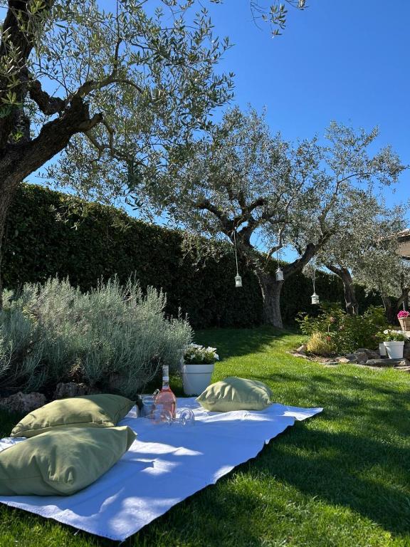 a blue blanket with pillows on a table in the grass at Casa Adriano-Dimora per vacanze in Ripa Teatina