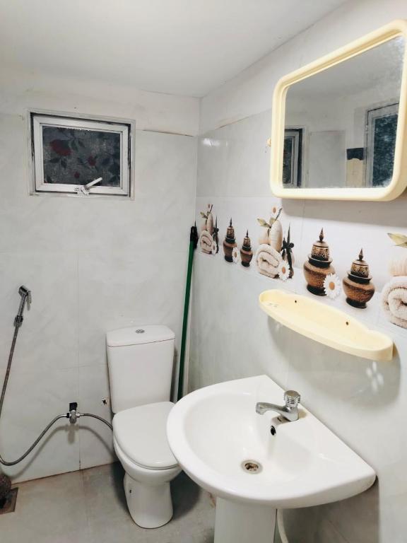 a bathroom with a toilet and a sink and a mirror at Malwathu oya resort in Anuradhapura
