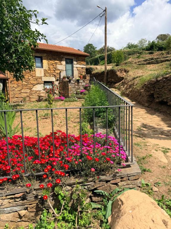a garden of flowers in front of a house at Casa do Cancelo in Mondim de Basto