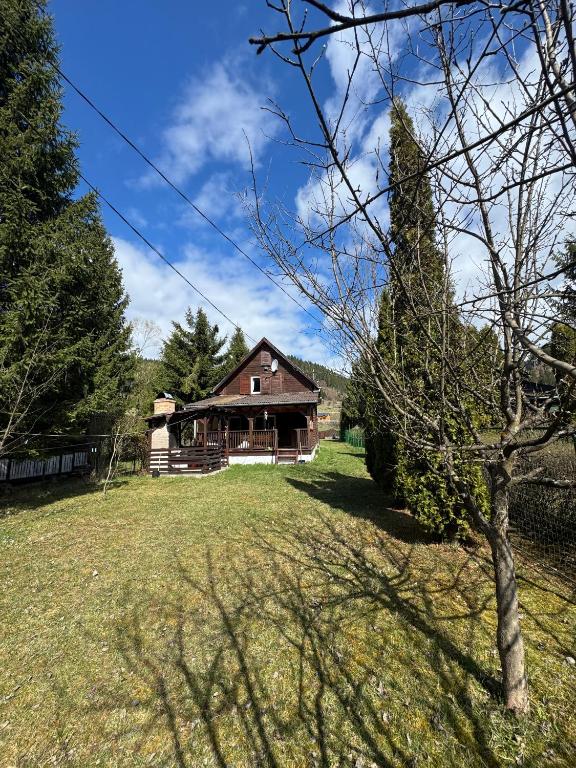 a large house in the middle of a field at Mountain Cabin Retreat - Terrace, BBQ, Hot Tub in Lunca Bradului
