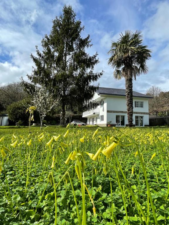 a field of yellow flowers in front of a house at The Eira - Spacious duplex with lush garden in Nigrán