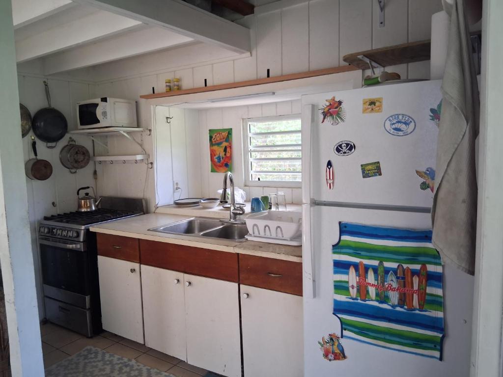 a kitchen with a sink and a refrigerator with magnets at Neptunes Home in Saint John