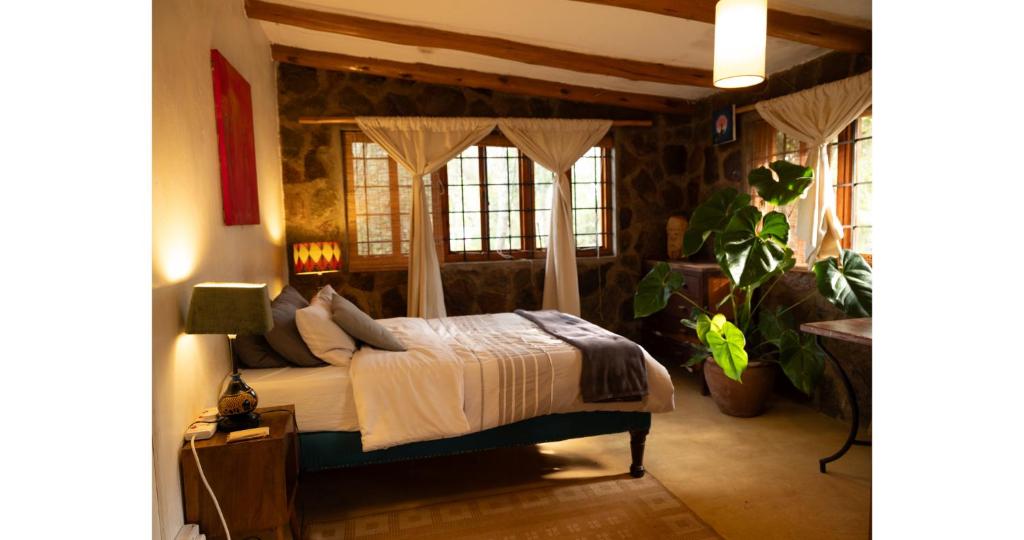 a bedroom with a bed in a room with windows at Oloile - Home By The Park in Nairobi