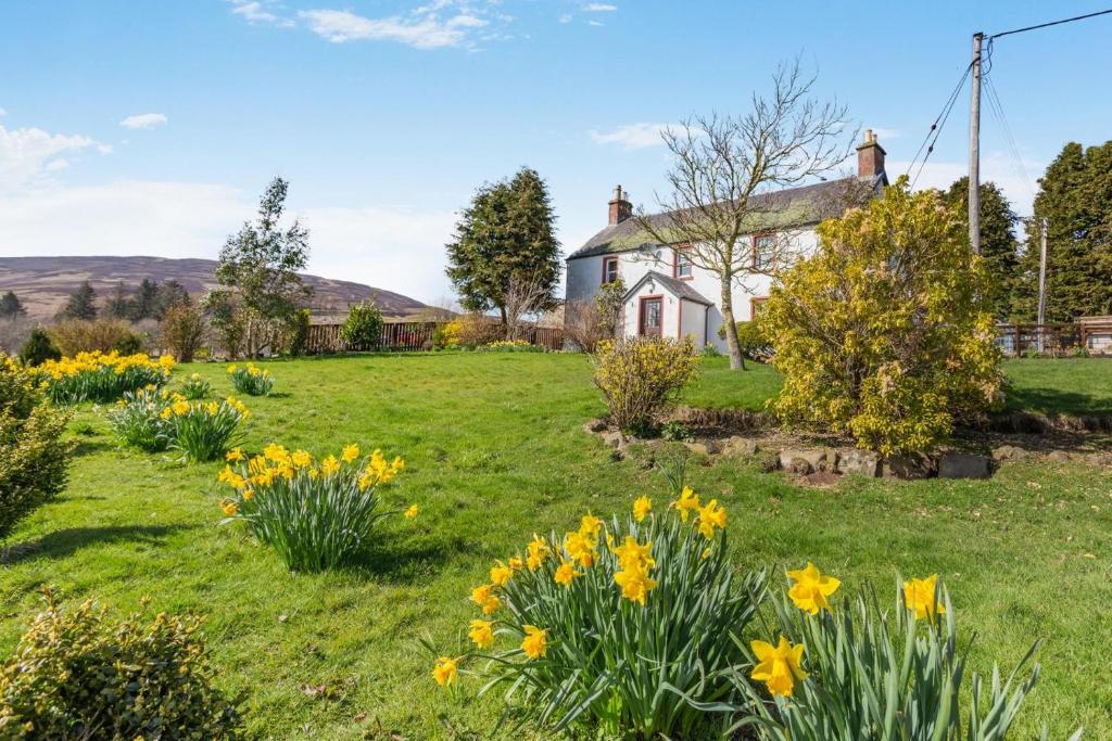 a garden in front of a house with flowers at 3 Bed in Kirriemuir oc-96450 in Kirriemuir