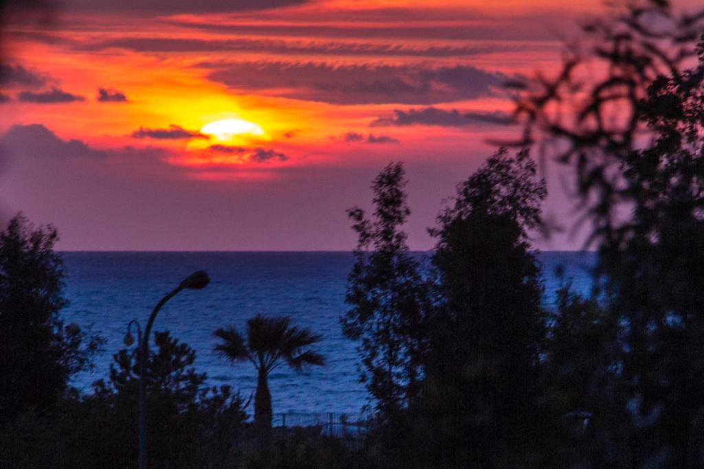 プラーイア・ア・マーレにあるCasa Vacanze Varugaの椰子の木と海上の夕日