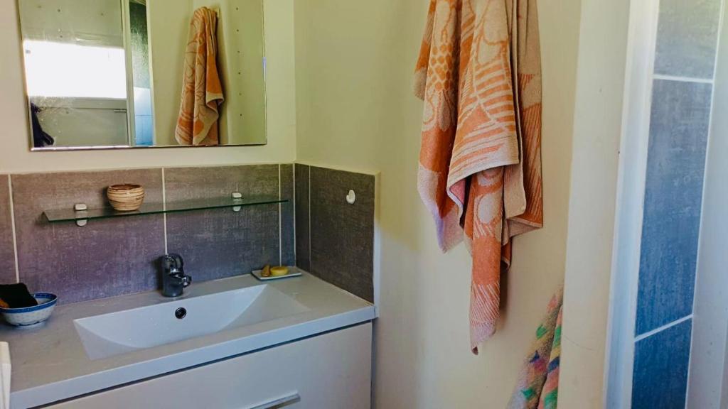 a bathroom with a sink and a mirror at Chambre d'hôte la palud in Barrême