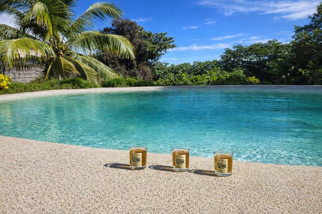 a swimming pool with blue water and palm trees at Lagon privé du Diamant in Le Diamant
