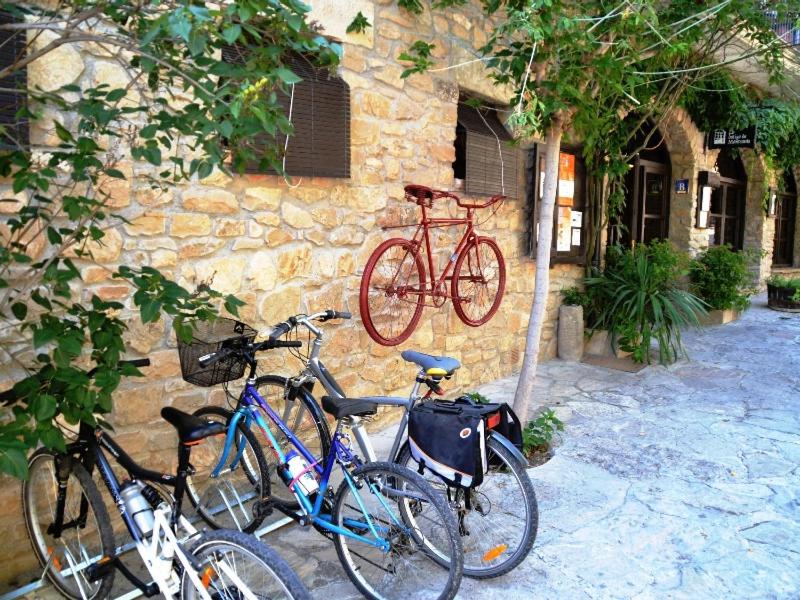 Jízda na kole v ubytování Casa rural con cueva - Cal Gravat nebo okolí