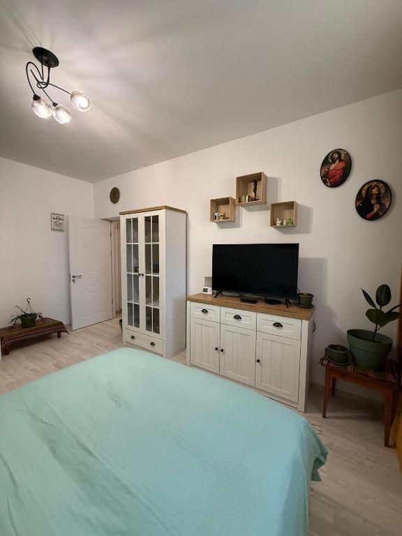 ein Schlafzimmer mit Bett und Flachbildfernseher in der Unterkunft Mary's Studio in Ipoteşti