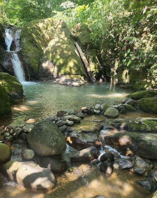 a stream of water with rocks and a waterfall at Club Fred in Punta Mala