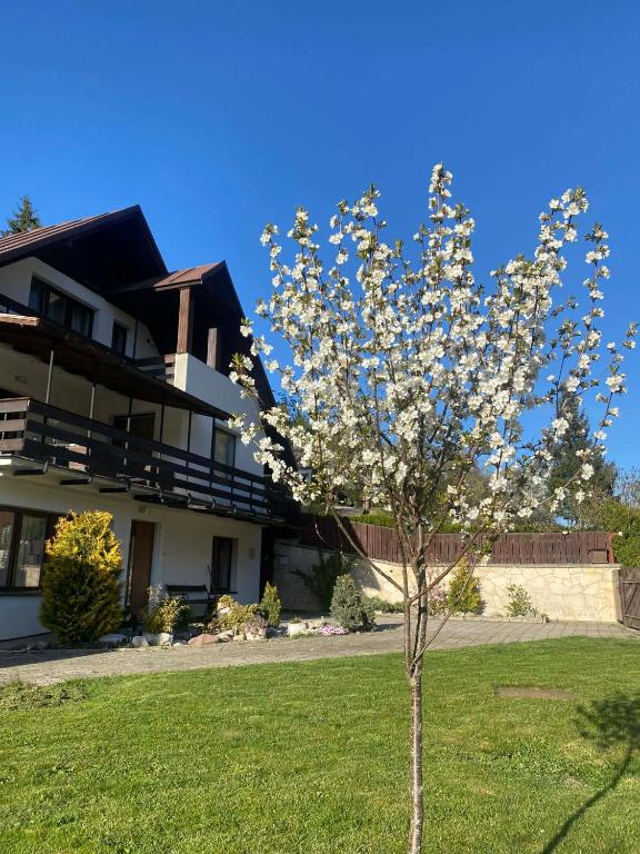 a tree in a yard in front of a building at Bystra 14 in Brezno