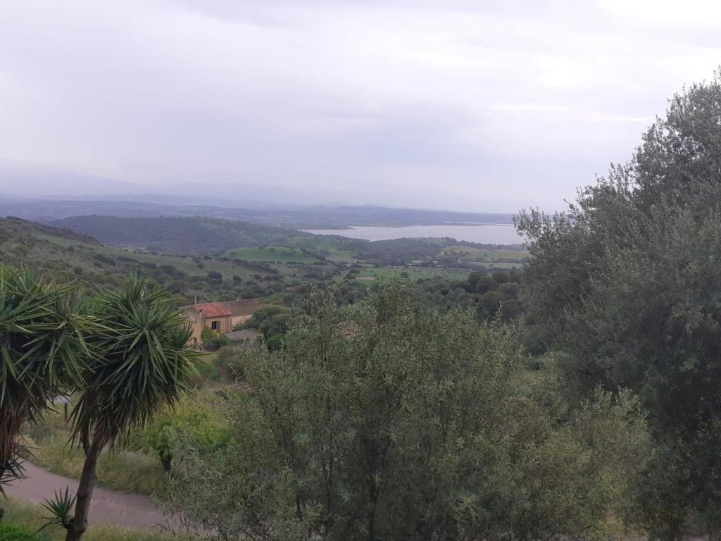 a view of a valley with trees and a lake at Bellavista Coghinas in Oschiri