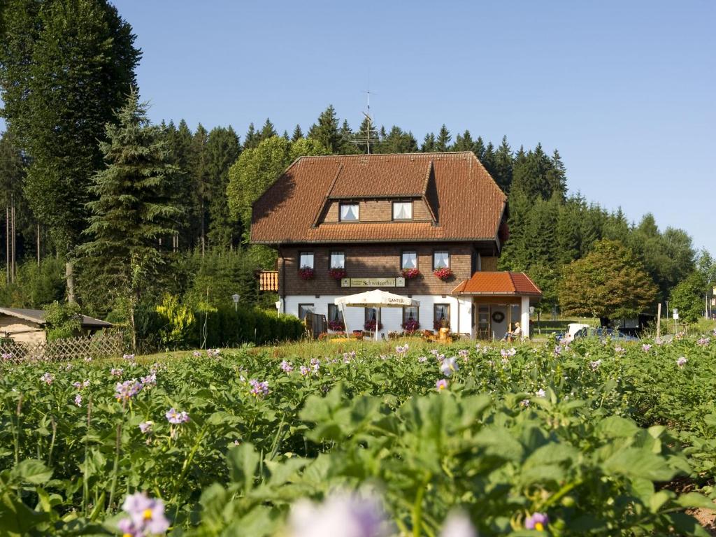 ティティゼー・ノイシュタットにあるGasthaus Schweizerhofの花畑の中の家