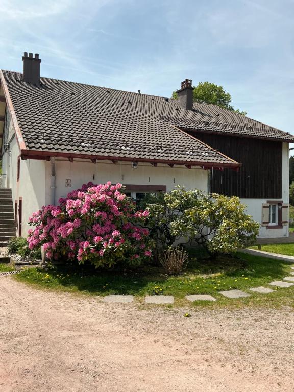 Gîte coquelicot les cœurs du tilleul