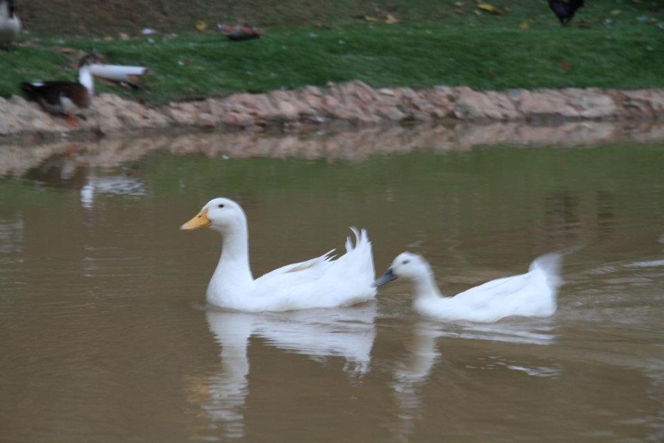  Pousada Vale da Serra